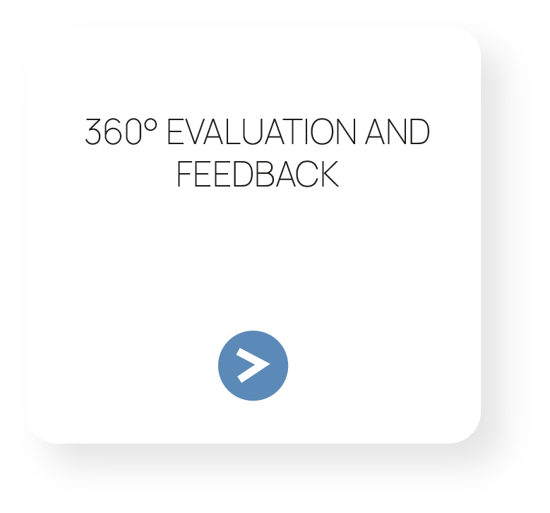 Asset-158.png